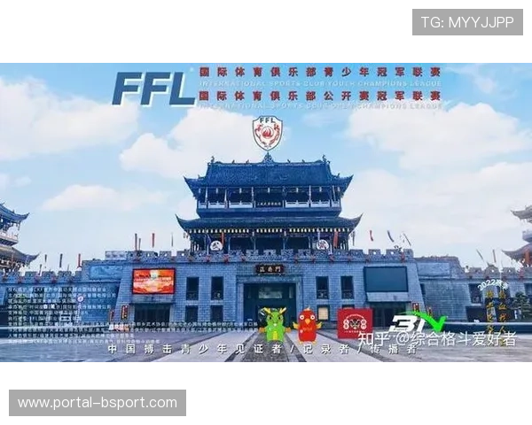 综合格斗装备销量增长，国产品牌技术研发投入加大