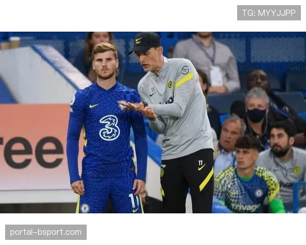 转会动态：多家媒体称切尔西已接触布莱顿主帅，为赛季末换帅准备